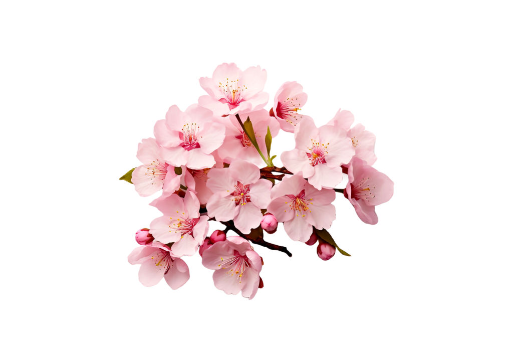 Caroline Marie Naturopathe, Naturopathe Hyères , Naturopathe Hyeres , Caroline Marie Naturopathe Hyères, La Réflexologie Plantaire , Réflexologie plantaire Hyeres , massage pied Hyeres , massage plantaire Hyeres , Le Modelage Relaxant Drainant , massage relaxant drainant Hyeres , Modelage relaxant Hyeres , Massage Hyeres , Relaxant drainant Hyeres , Naturopathie , Naturopathie Hyeres